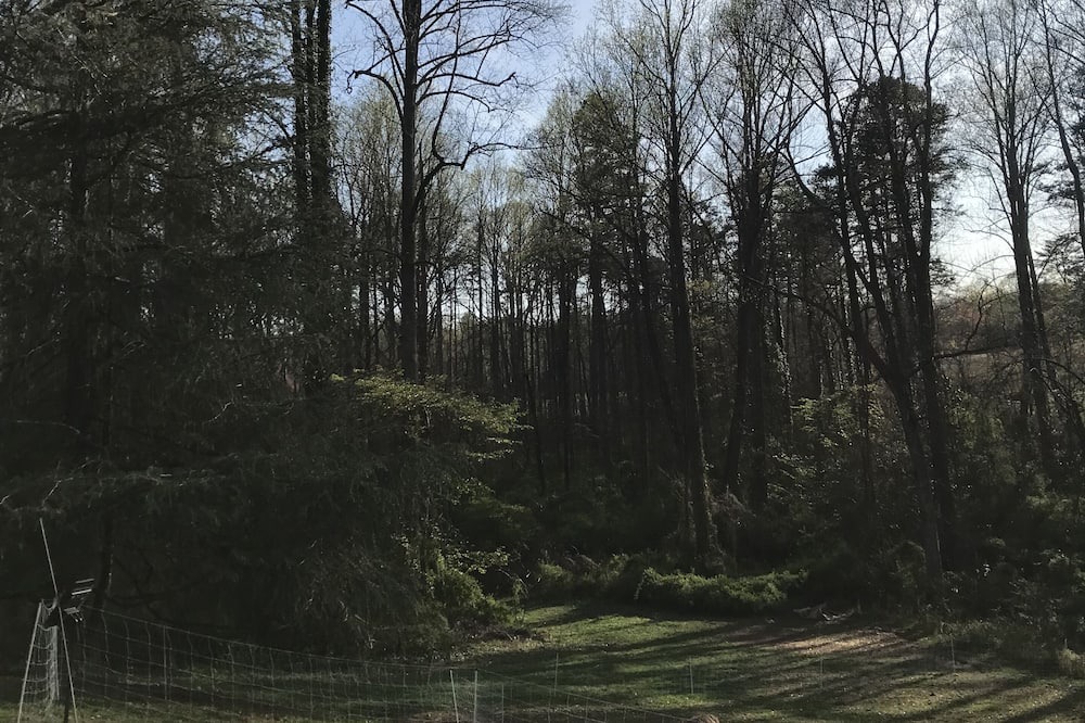 Photo of Others in Rutherfordton