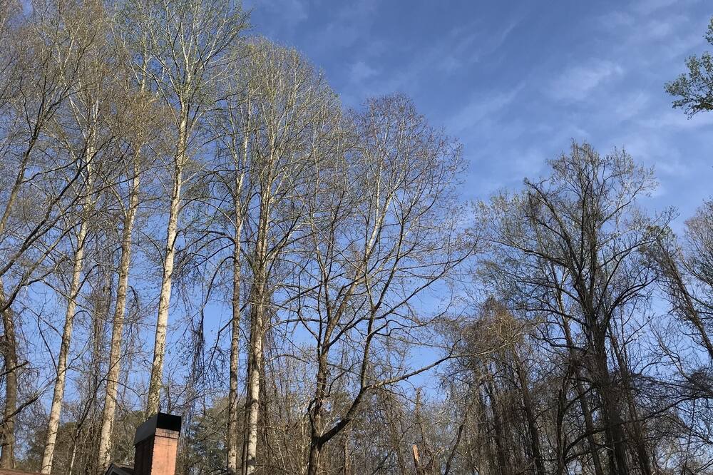 Photo of Outdoor in Rutherfordton