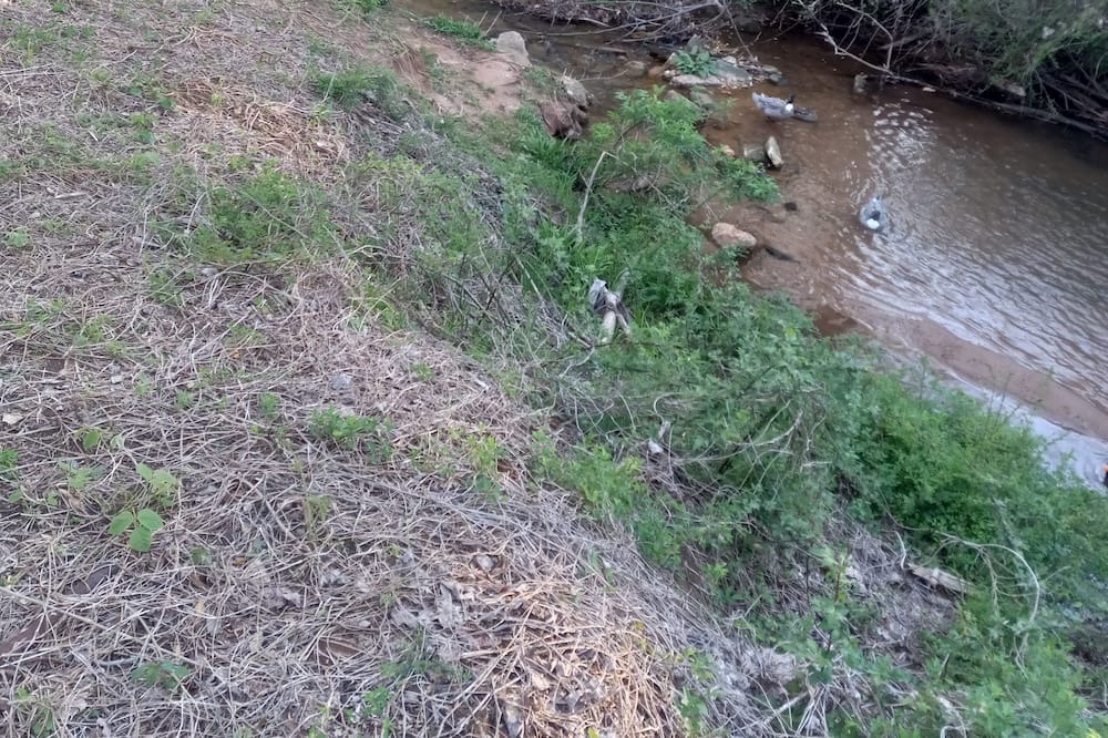 Photo of Outdoor in Rutherfordton