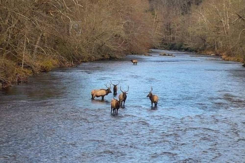 Photo of Others in Cherokee