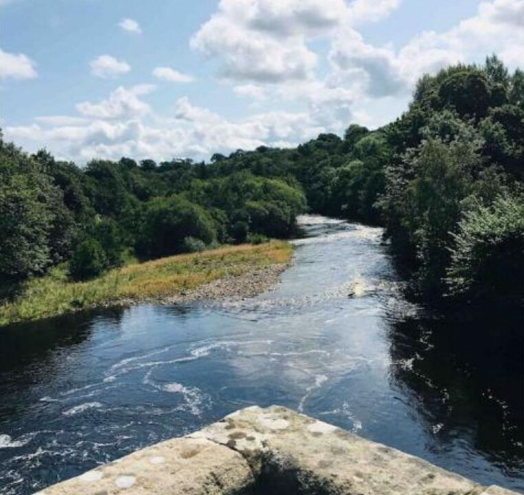Photo of Outdoor in West Auckland