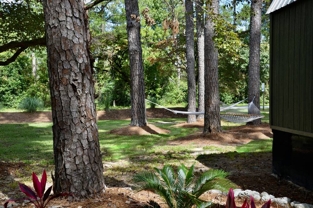 Photo of Outdoor in Brices Creek