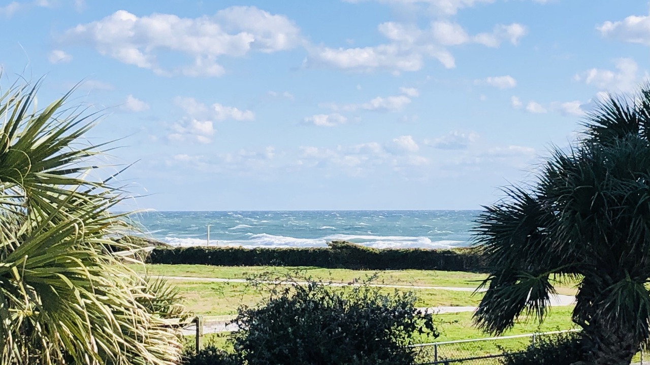 Photo of Others in Indian Beach