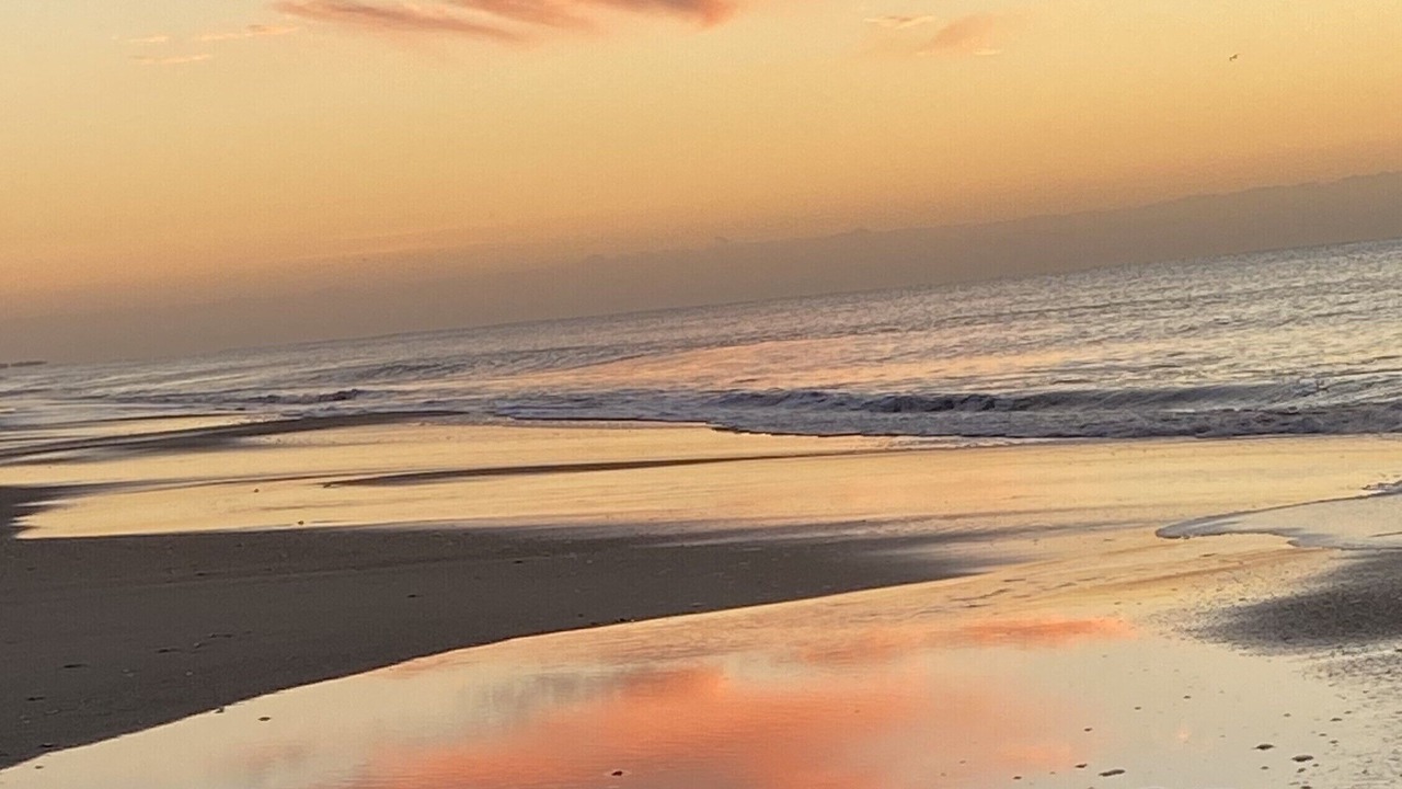 Photo of Others in Indian Beach