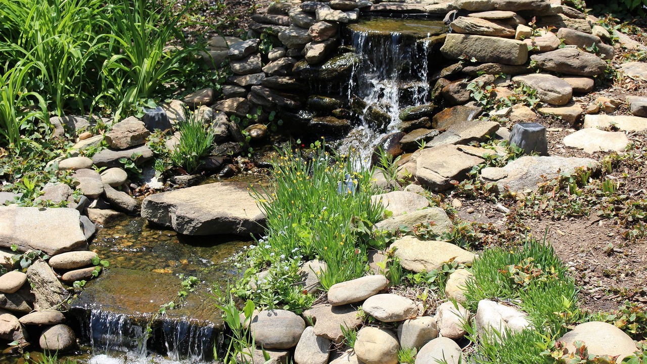 Photo of Outdoor in Maggie Valley