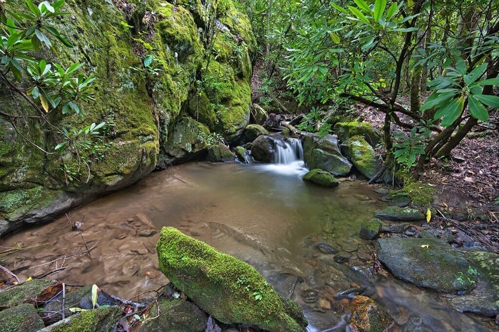 Photo of Outdoor in Franklin