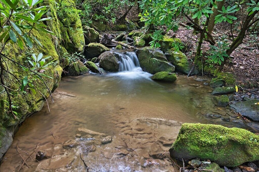 Photo of Outdoor in Franklin