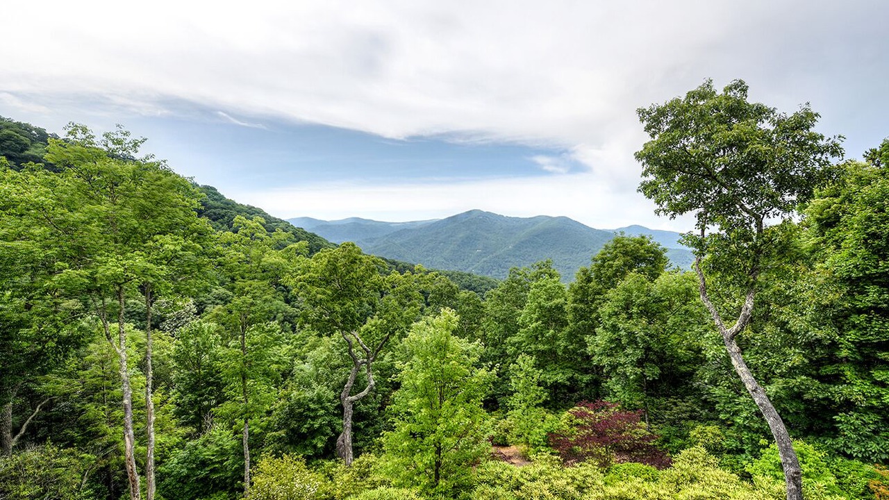 Photo of Outdoor in Maggie Valley