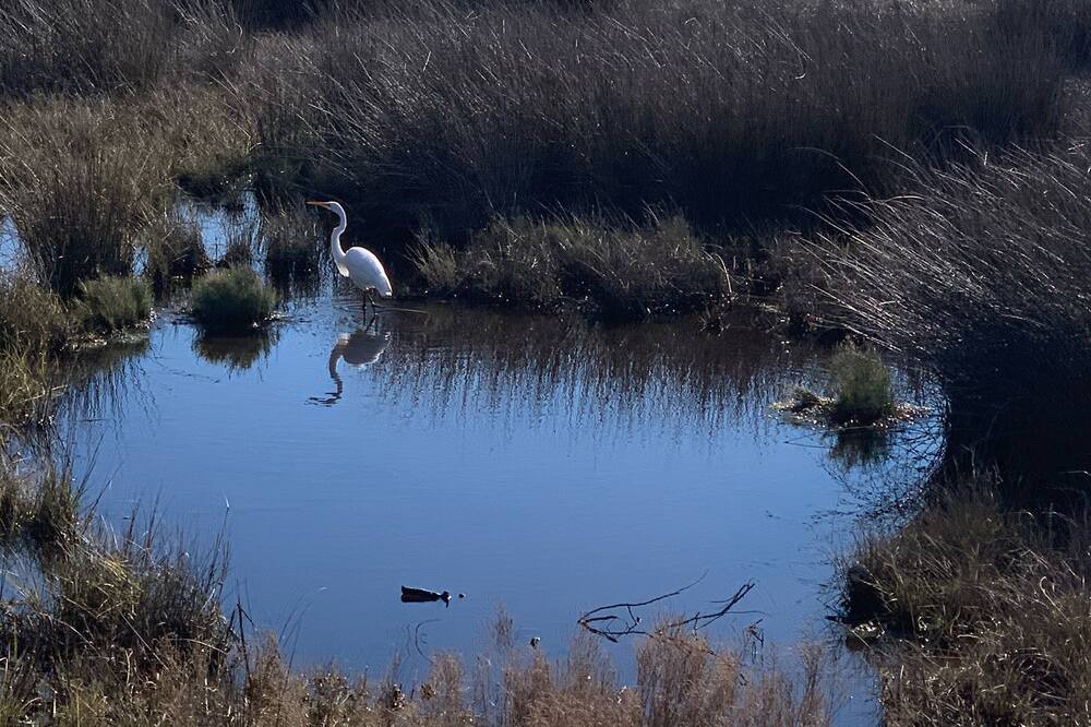 Photo of Others in Harkers Island