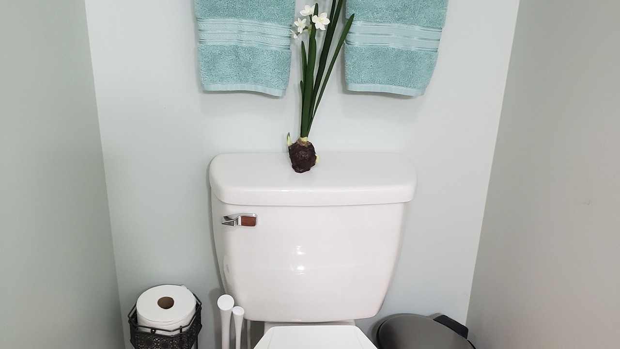 Photo of Bathroom in Roaring Gap
