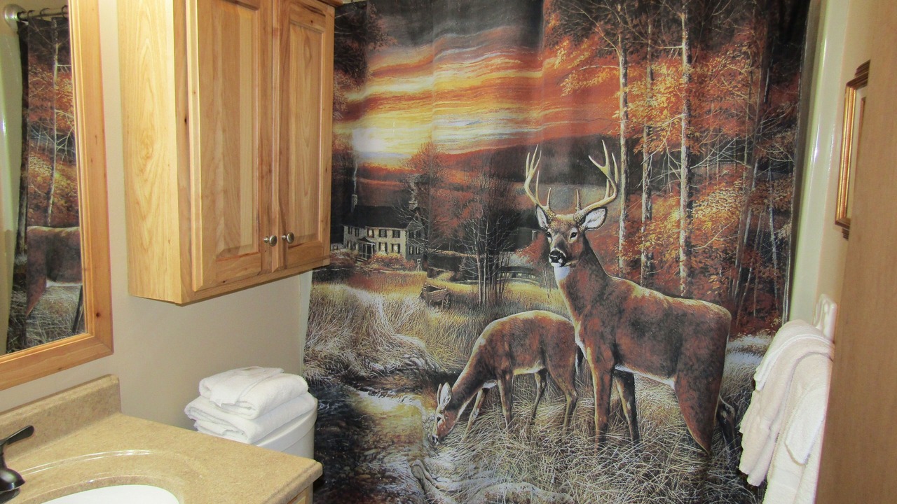 Photo of Bathroom in Banner Elk