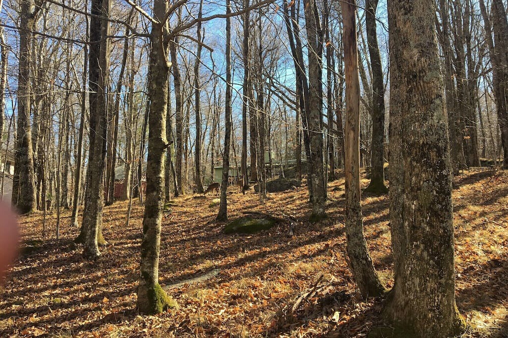 Photo of Outdoor in Charter Hills