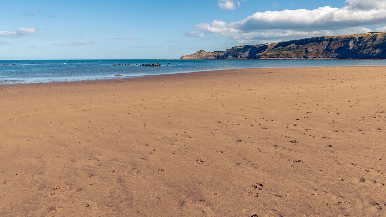 Photo of Others in Runswick Bay