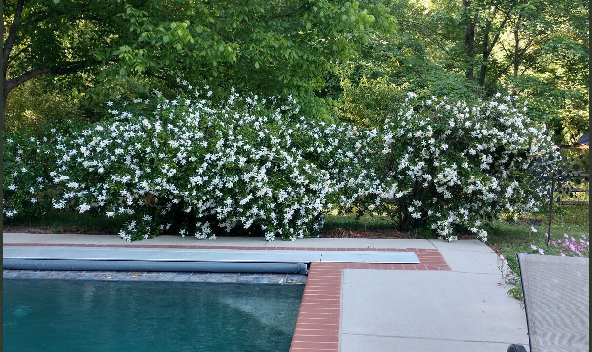 Photo of Outdoor in Marlwood Acre