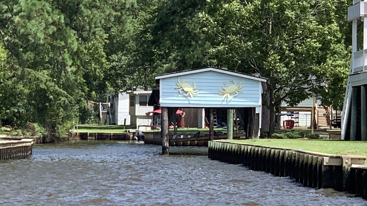 Photo of Others in River Road
