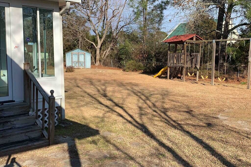Photo of Outdoor in Pine Forest