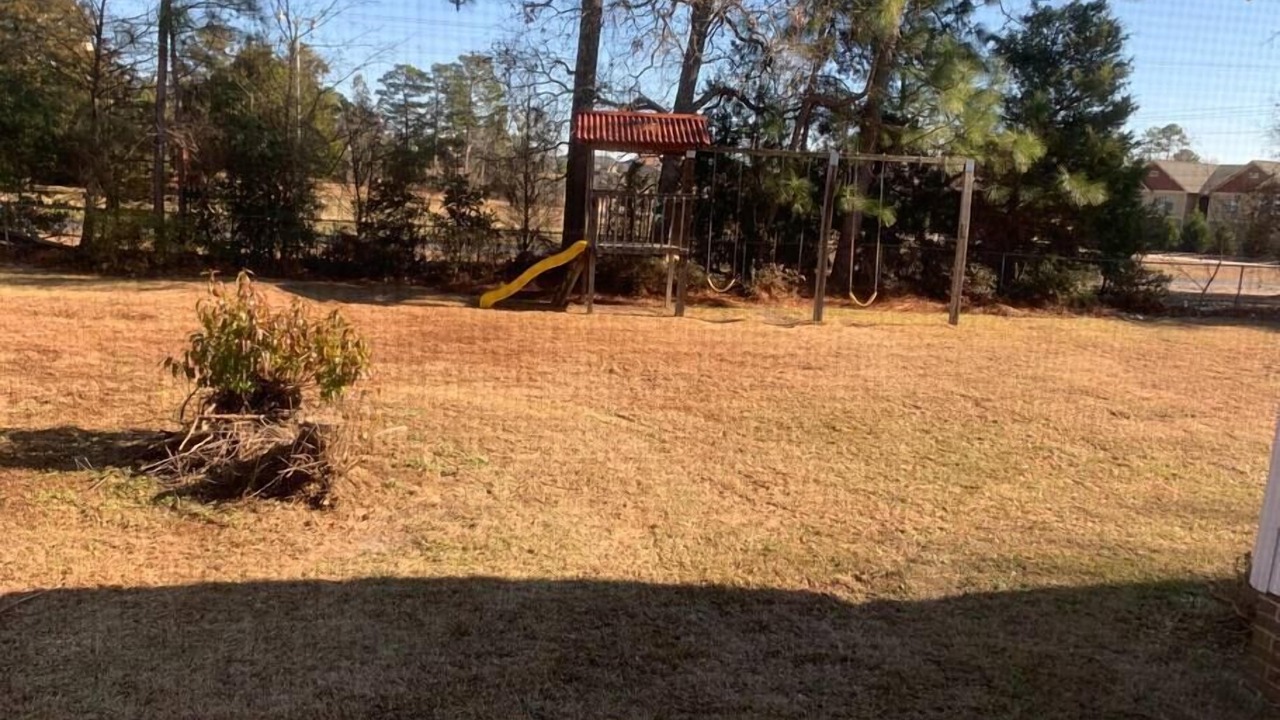 Photo of Outdoor in Pine Forest