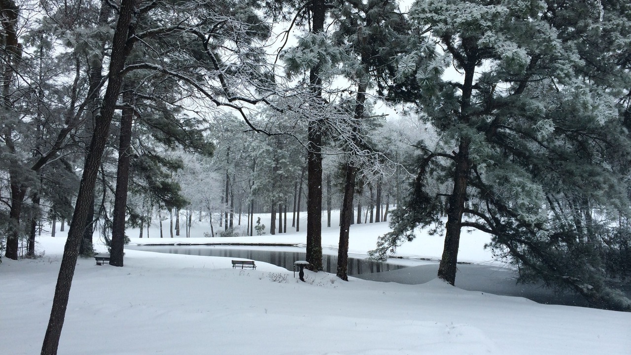 Photo of Others in Pinehurst