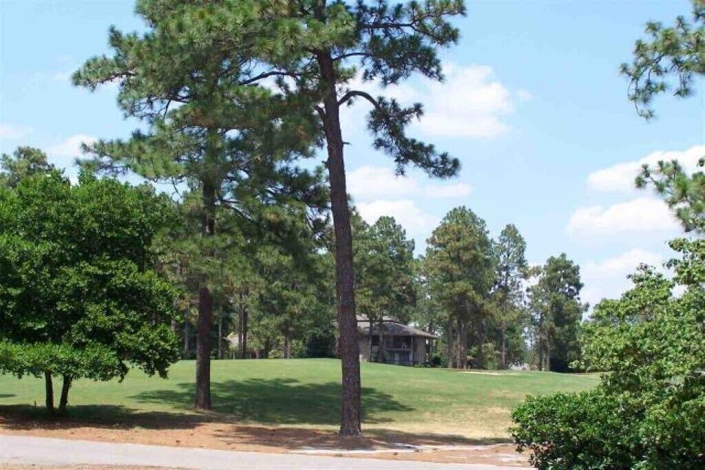 Photo of Outdoor in Foxfire