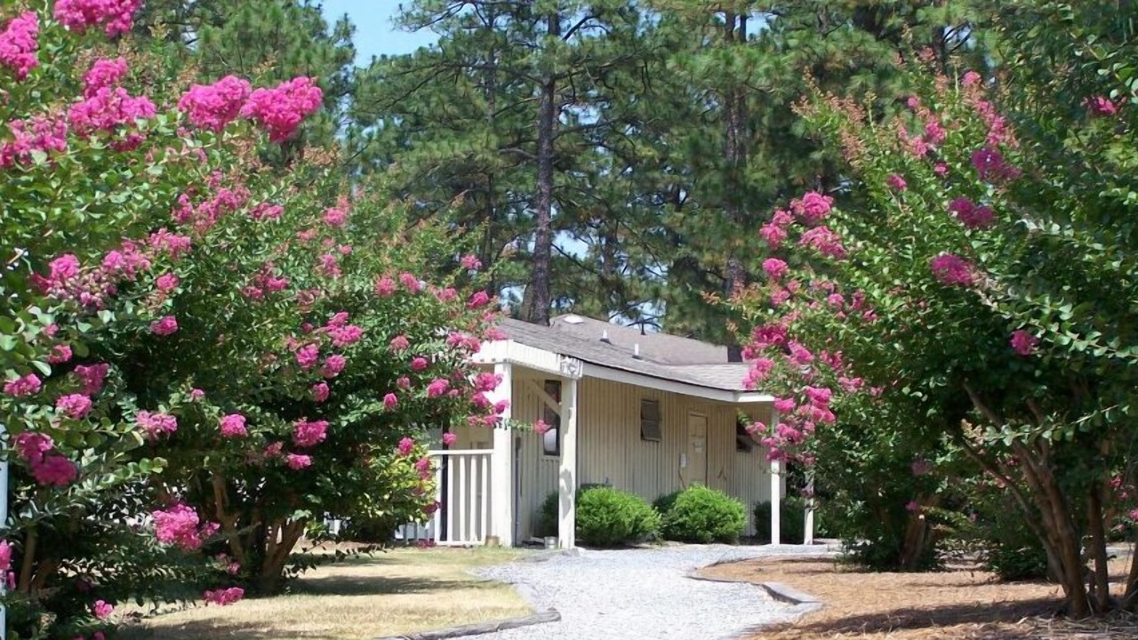 Photo of Outdoor in Foxfire