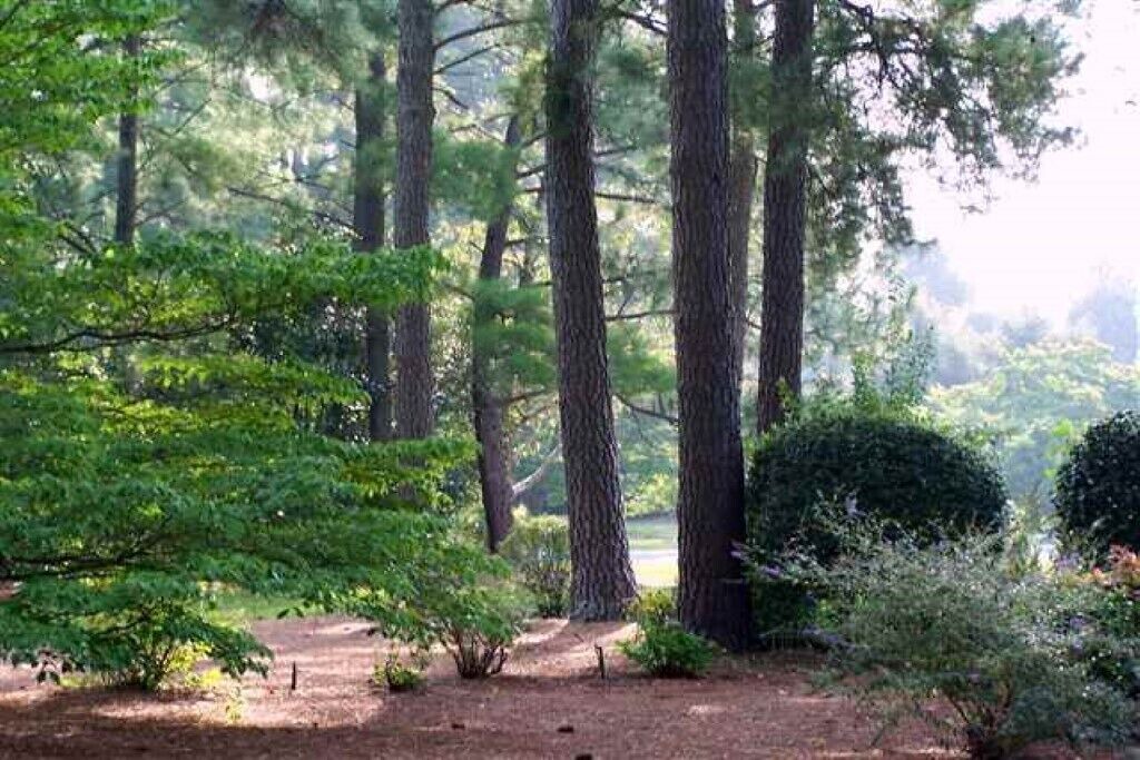 Photo of Outdoor in Foxfire