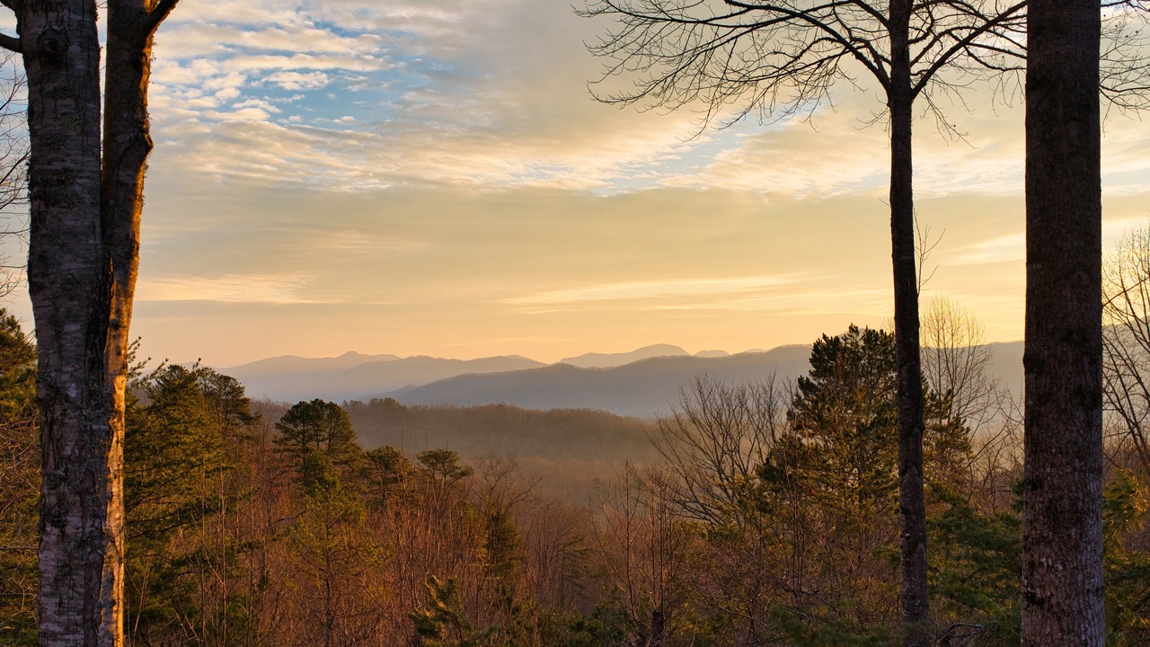 Photo of Outdoor in Franklin