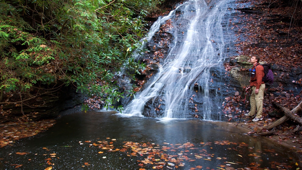 Photo of Others in Mill Spring