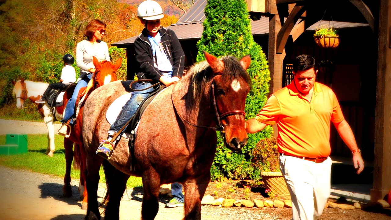 Photo of Outdoor in Mill Spring