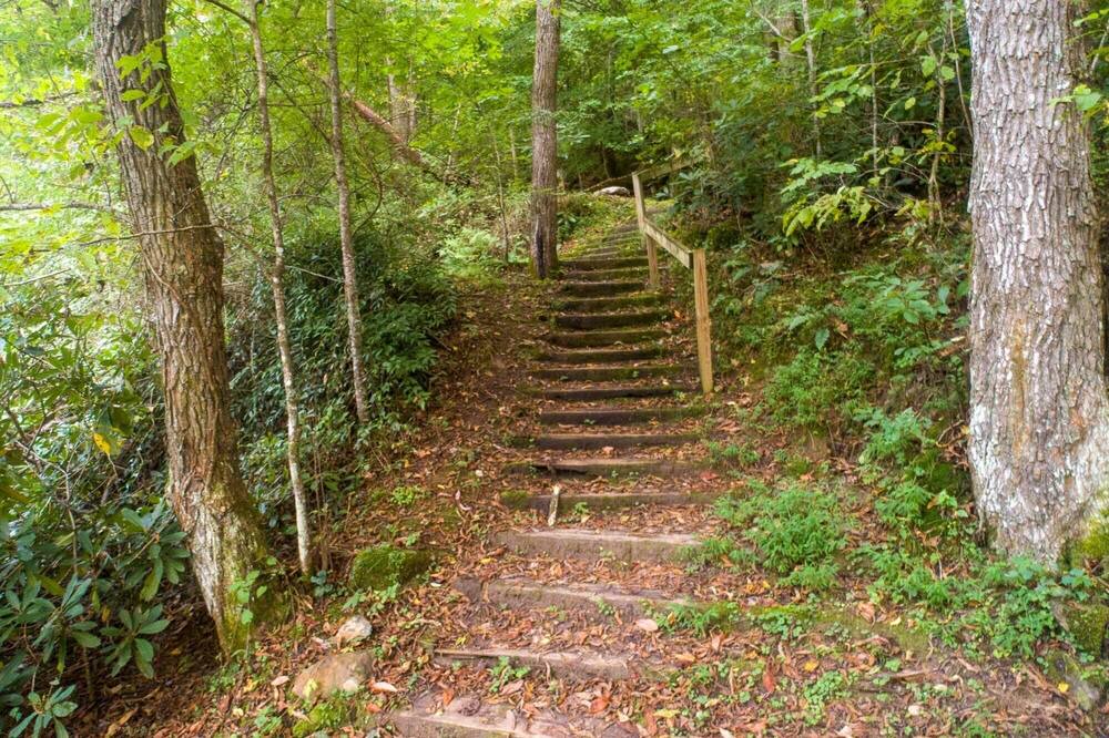 Photo of Others in Cullowhee