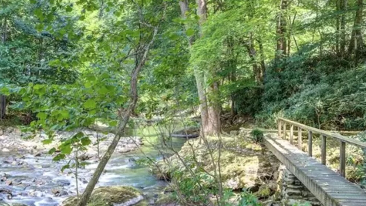Photo of Outdoor in Mill Ridge