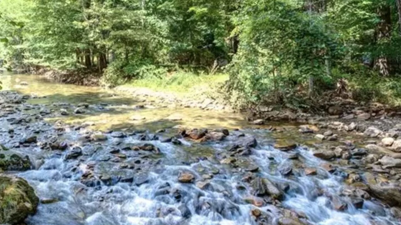 Photo of Outdoor in Mill Ridge