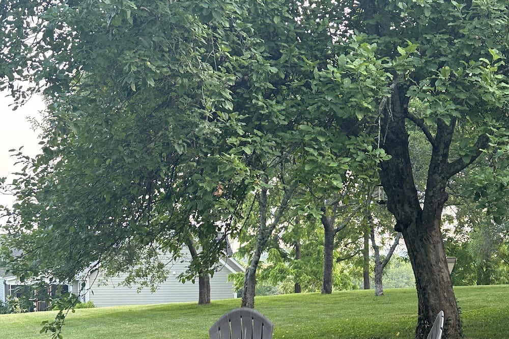 Photo of Outdoor in Oakley