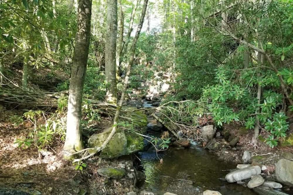 Photo of Outdoor in Celo