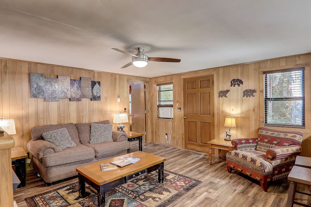Photo of Livingroom in Maggie Valley