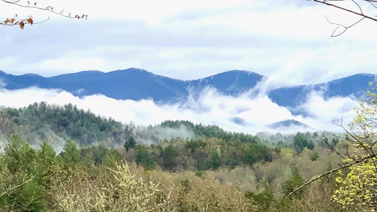 Photo of Outdoor in Murphy