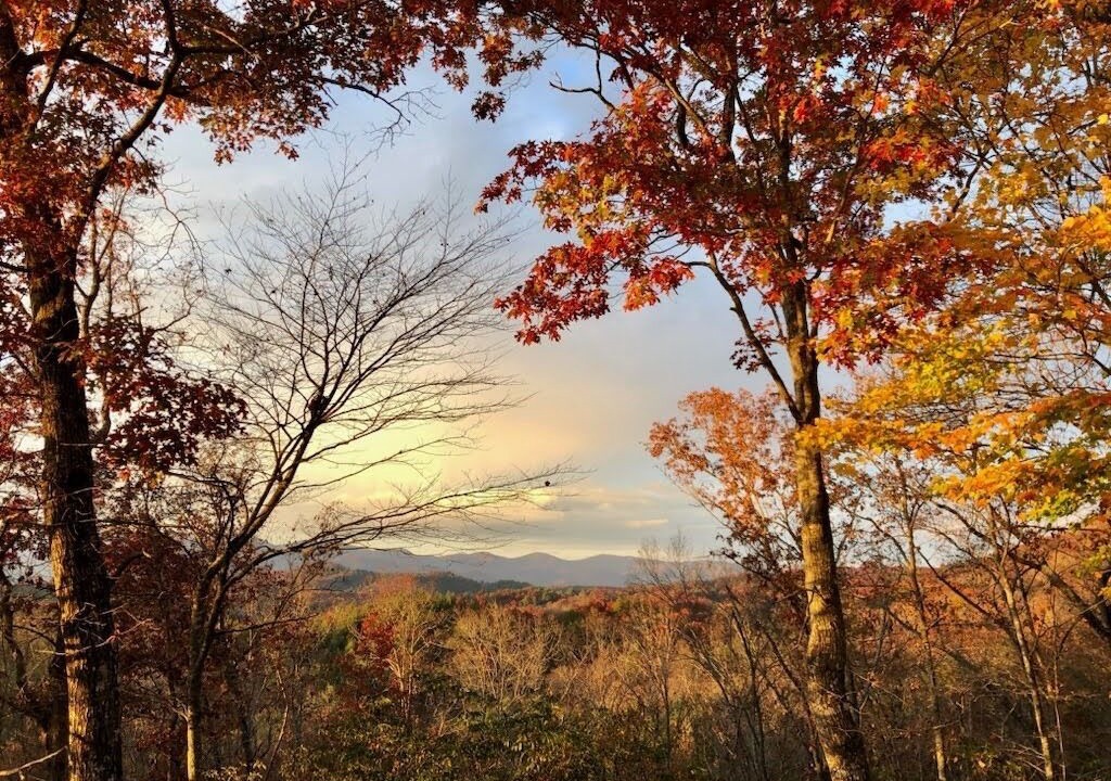 Photo of Outdoor in Murphy
