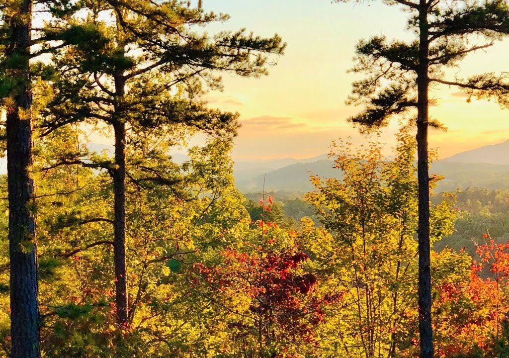 Photo of Outdoor in Murphy