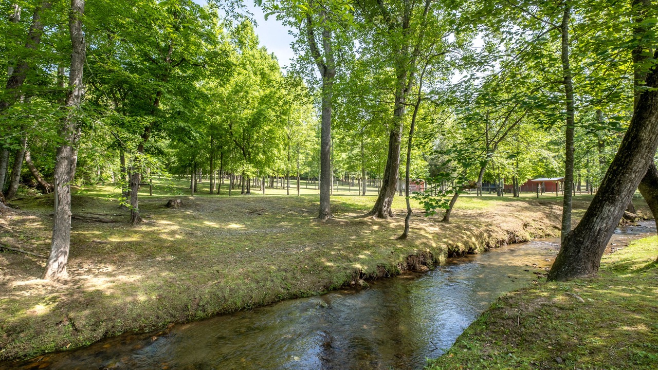 Photo of Outdoor in Murphy