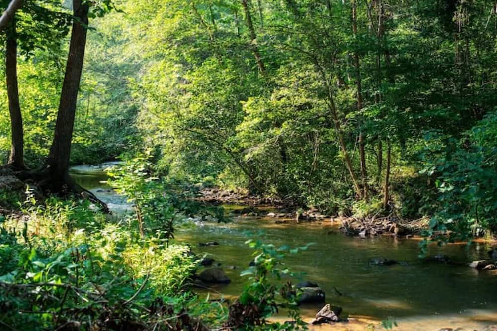 Photo of Outdoor in Vein Mountain