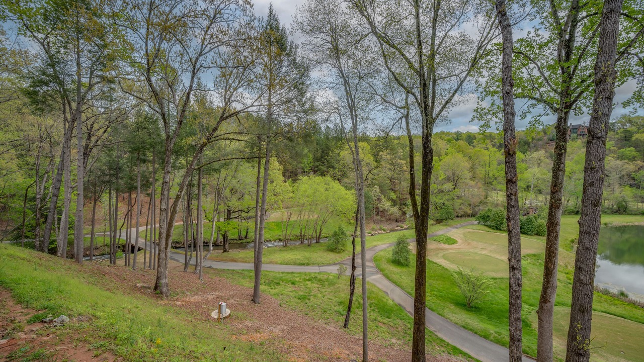 Photo of Outdoor in Mill Spring