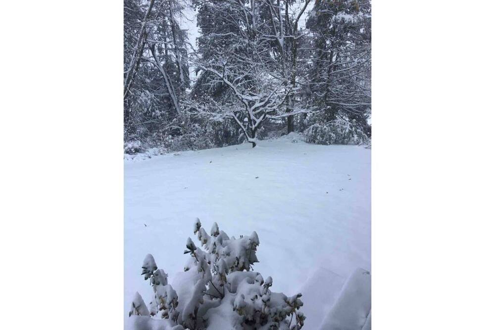 Photo of Others in Hudson