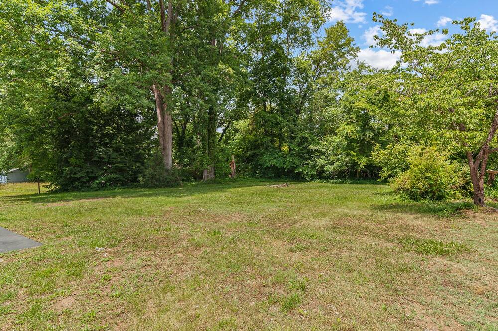Photo of Outdoor in Eden
