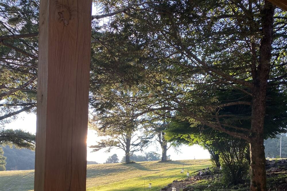Photo of Outdoor in Sparta