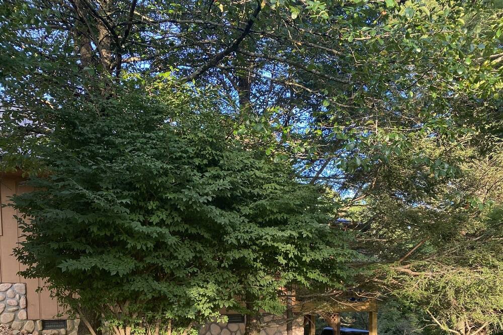 Photo of Outdoor in Sparta