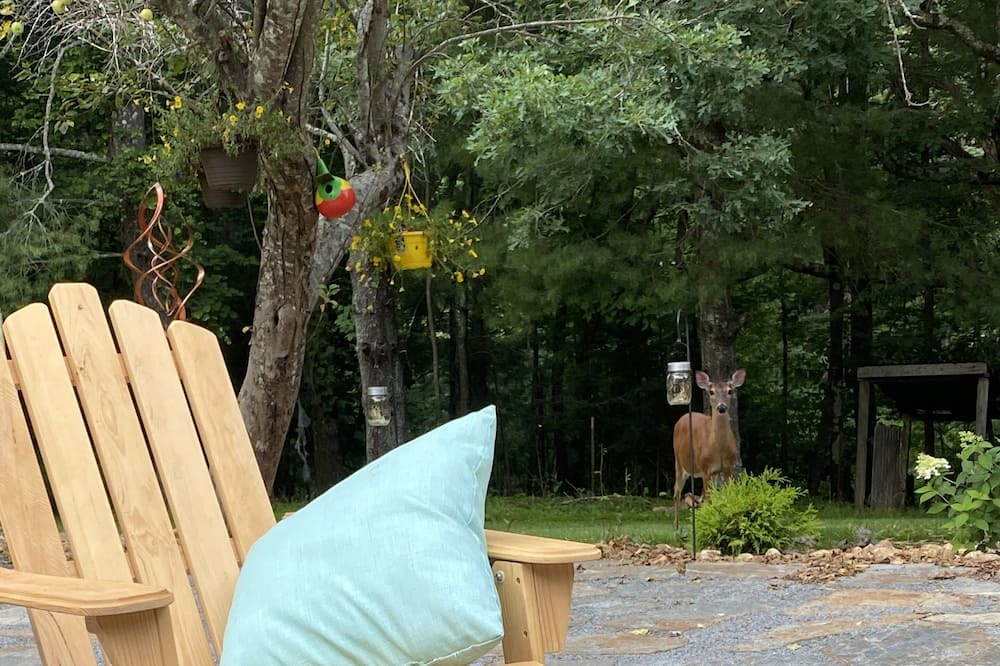 Photo of Outdoor in Sparta