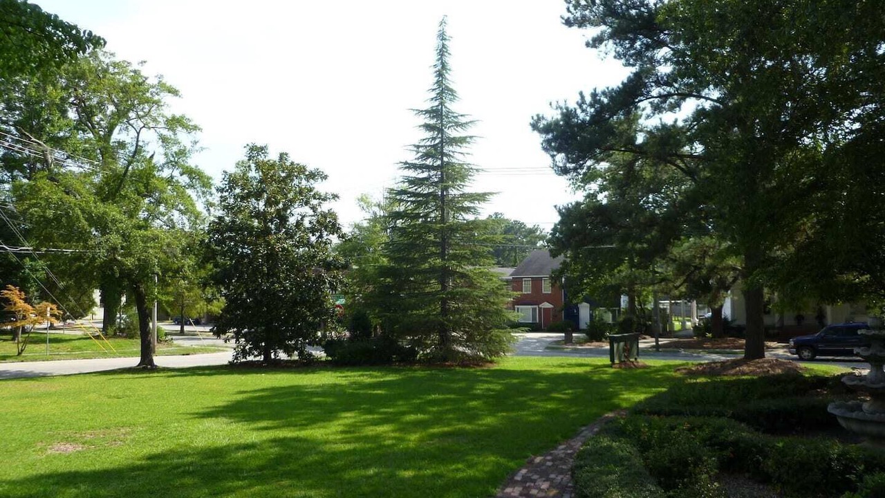 Photo of Outdoor in Wilson