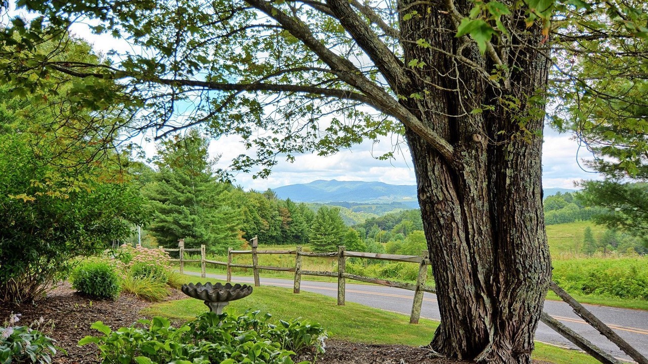 Photo of Outdoor in Jefferson