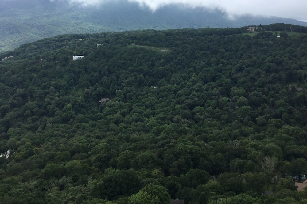 Photo of Others in Sugar Mountain