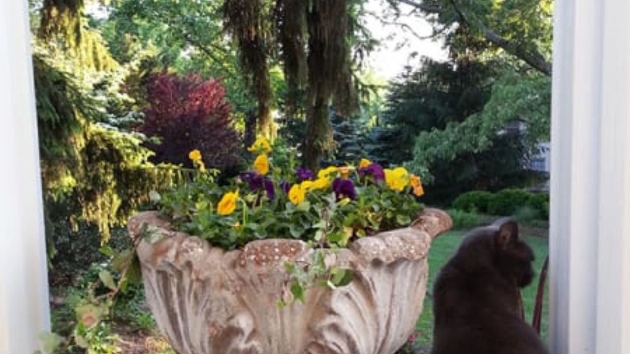 Photo of Outdoor in Grove Park- Sunset