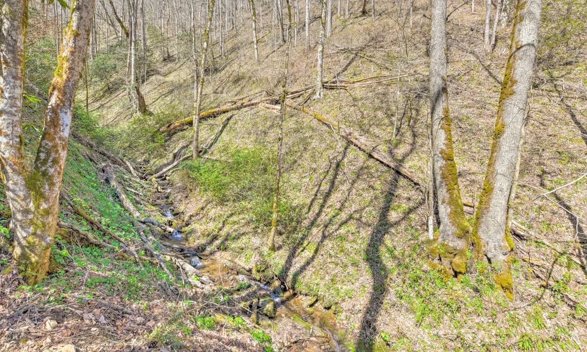 Photo of Outdoor in Bryson City